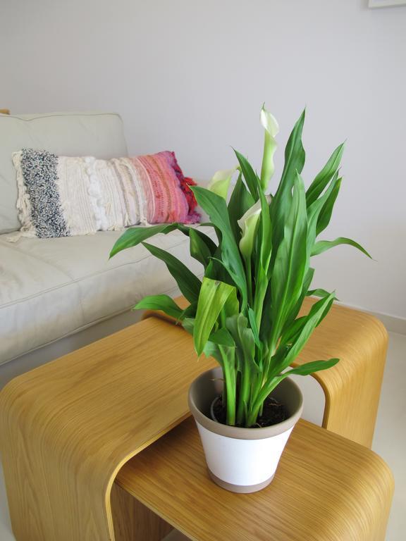 Seafront Calista Beach House With Garden Glyfada  Ngoại thất bức ảnh
